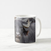 Bubalus bubalis kaffeetasse (VorderseiteRechts)