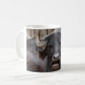 Bubalus bubalis kaffeetasse (Vorderseite Links)
