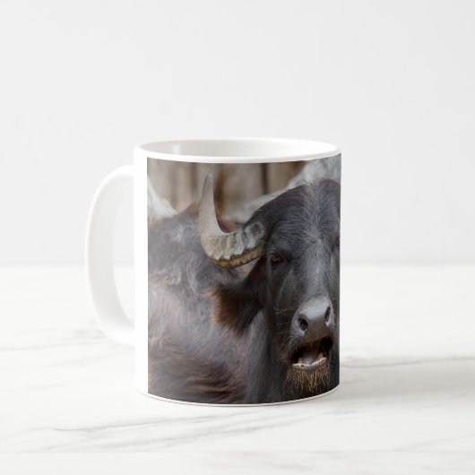 Bubalus bubalis kaffeetasse (Vorderseite Links)