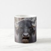 Bubalus bubalis kaffeetasse (Mittel)