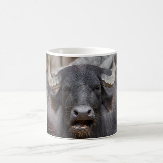 Bubalus bubalis kaffeetasse (Mittel)