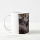 Bubalus bubalis kaffeetasse (Links)