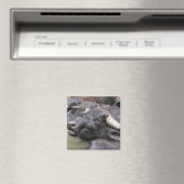 Bubalus bubalis magnet (In Situ (Geschirrspüler))