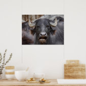 Bubalus bubalis poster (Küche)