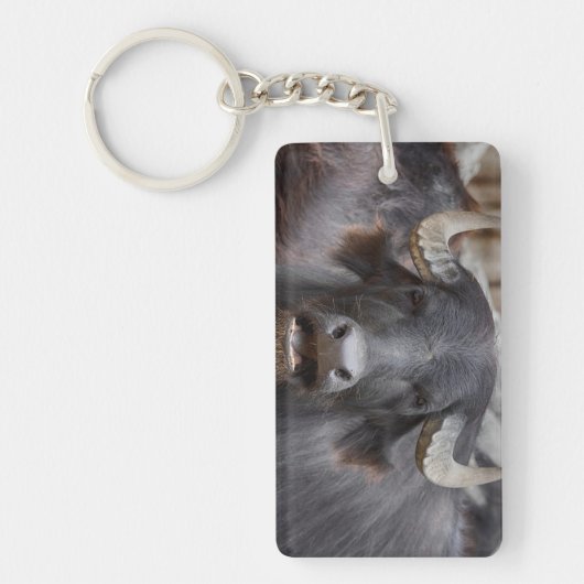 Bubalus bubalis schlüsselanhänger (Vorderseite)