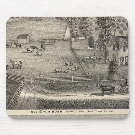 Bubb-Residenzen Mousepad (Vorne)