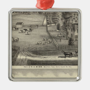 Bubb Wohnsitze Silbernes Ornament