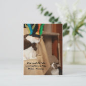 Bubba Coachen Mikie Postkarte (Stehend Vorderseite)