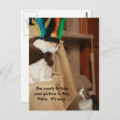 Bubba Coachen Mikie Postkarte (Vorne/Hinten)