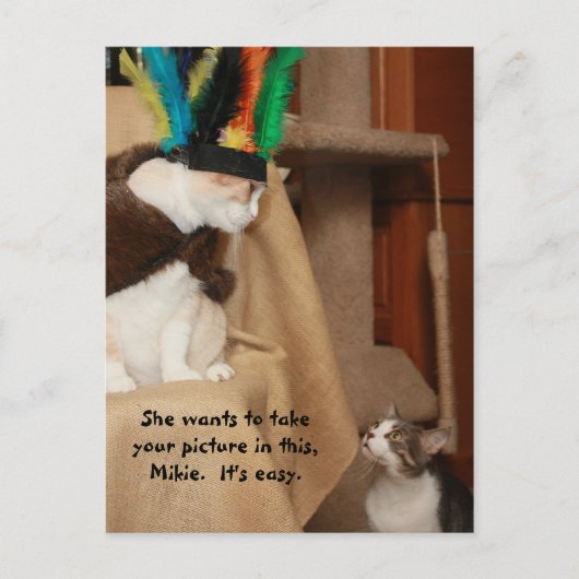 Bubba Coachen Mikie Postkarte (Vorderseite)