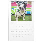 Bubba-Kalender 2022 Kalender (Mär 2027)