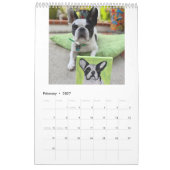 Bubba-Kalender 2022 Kalender (Feb 2027)