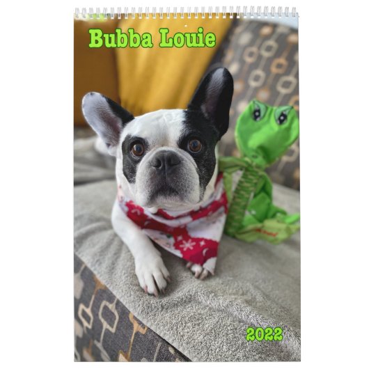 Bubba-Kalender 2022 Kalender (Titelbild)