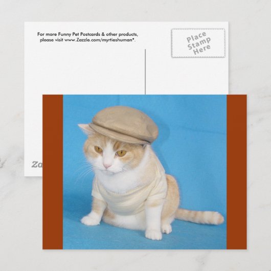 Bubba Kitty Postkarte (Vorne/Hinten)