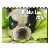 Bubba Louie 2020 Kalender (Titelbild)