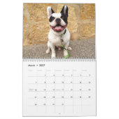 Bubba Louie Kalender 2015! (Mär 2027)