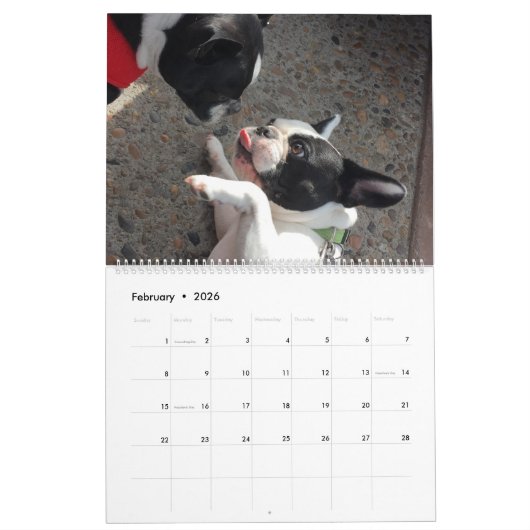 Bubba Louie Kalender 2016 (Feb 2026)