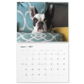 Bubba Louie Kalender 2016 (Mär 2027)