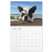 Bubba Louie Kalender 2016 (Jan 2027)