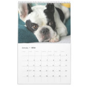 Bubba Louie Kalender 2018 (Jan 2026)