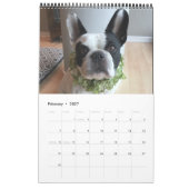 Bubba Louie Kalender 2019 (Feb 2027)