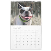 Bubba Louie Kalender 2019 (Jan 2027)