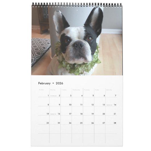 Bubba Louie Kalender 2019 (Feb 2026)