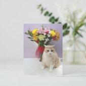 Bubba nach Blume Postkarte (Stehend Vorderseite)