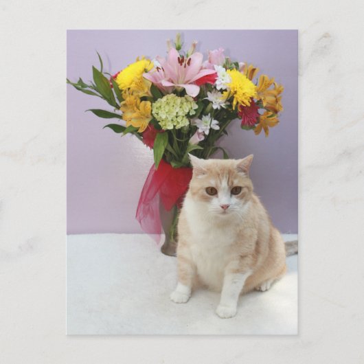 Bubba nach Blume Postkarte (Vorderseite)