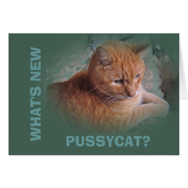 Bubba The Orange Tabby Tomcat (Vorderseite (Horizontal))