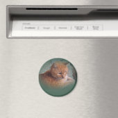 Bubba The Orange Tabby Tomcat Magnet (In Situ (Geschirrspüler))