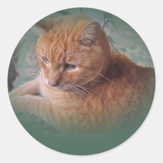 Bubba The Orange Tabby Tomcat Runder Aufkleber (Vorderseite)