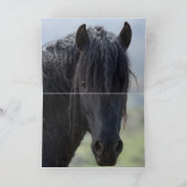 Bubba und Scarface Wilde Pferde Grußkarte Dankeskarte (Innenseite)