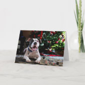 Bubbas frohe Feiertage Feiertagskarte (Vorderseite)