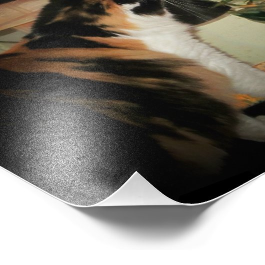 Bubble Kiss Fotodruck (Ecke)