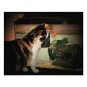 Bubble Kiss Fotodruck (Vorne)