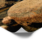 Bubble Rock Poster (Ecke)