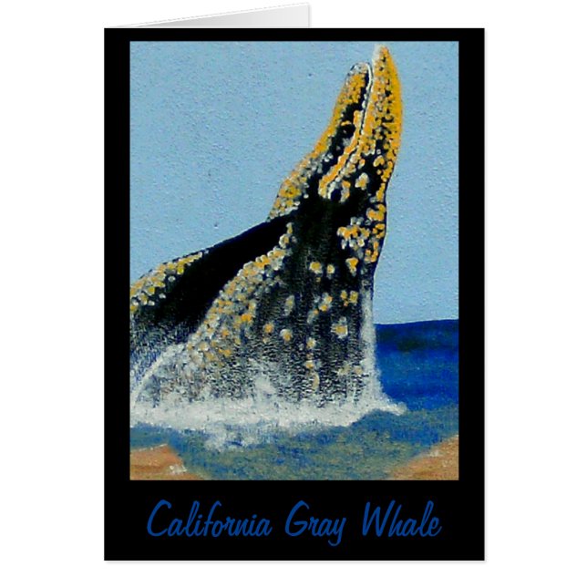 Bubblepazifische Decken (Vorne)