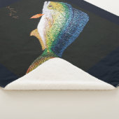 Bubblepazifische Decken (3/4)