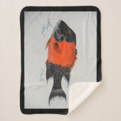 Bubblepazifische Decken (Vorderseite)