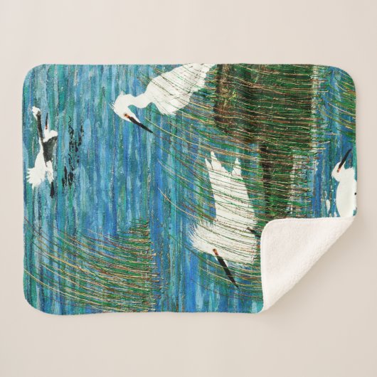 Bubblepazifische Decken (Vorderseite (Horizontal))