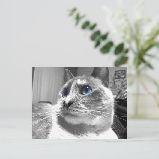 Bubble's mesmerisierende Blues Postkarte (Stehend Vorderseite)