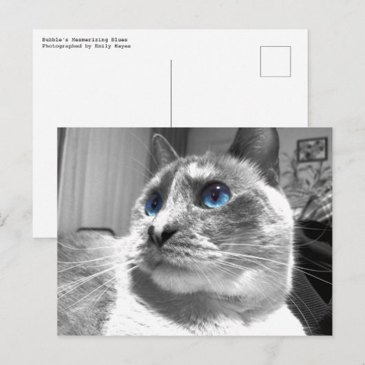 Bubble's mesmerisierende Blues Postkarte (Vorne/Hinten)