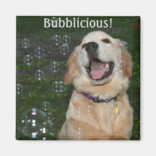 Bubblicious Golden Retriever Puppy Magnet (Vorne)