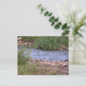 Bubbling Creek Postkarte (Stehend Vorderseite)