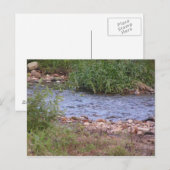 Bubbling Creek Postkarte (Vorne/Hinten)