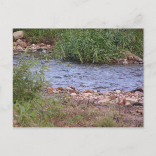 Bubbling Creek Postkarte