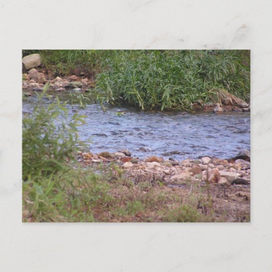 Bubbling Creek Postkarte (Vorderseite)