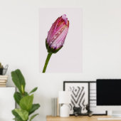 Bubbling daisy poster (Heimbüro)