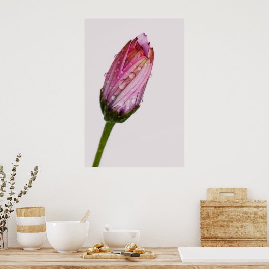 Bubbling daisy poster (Küche)